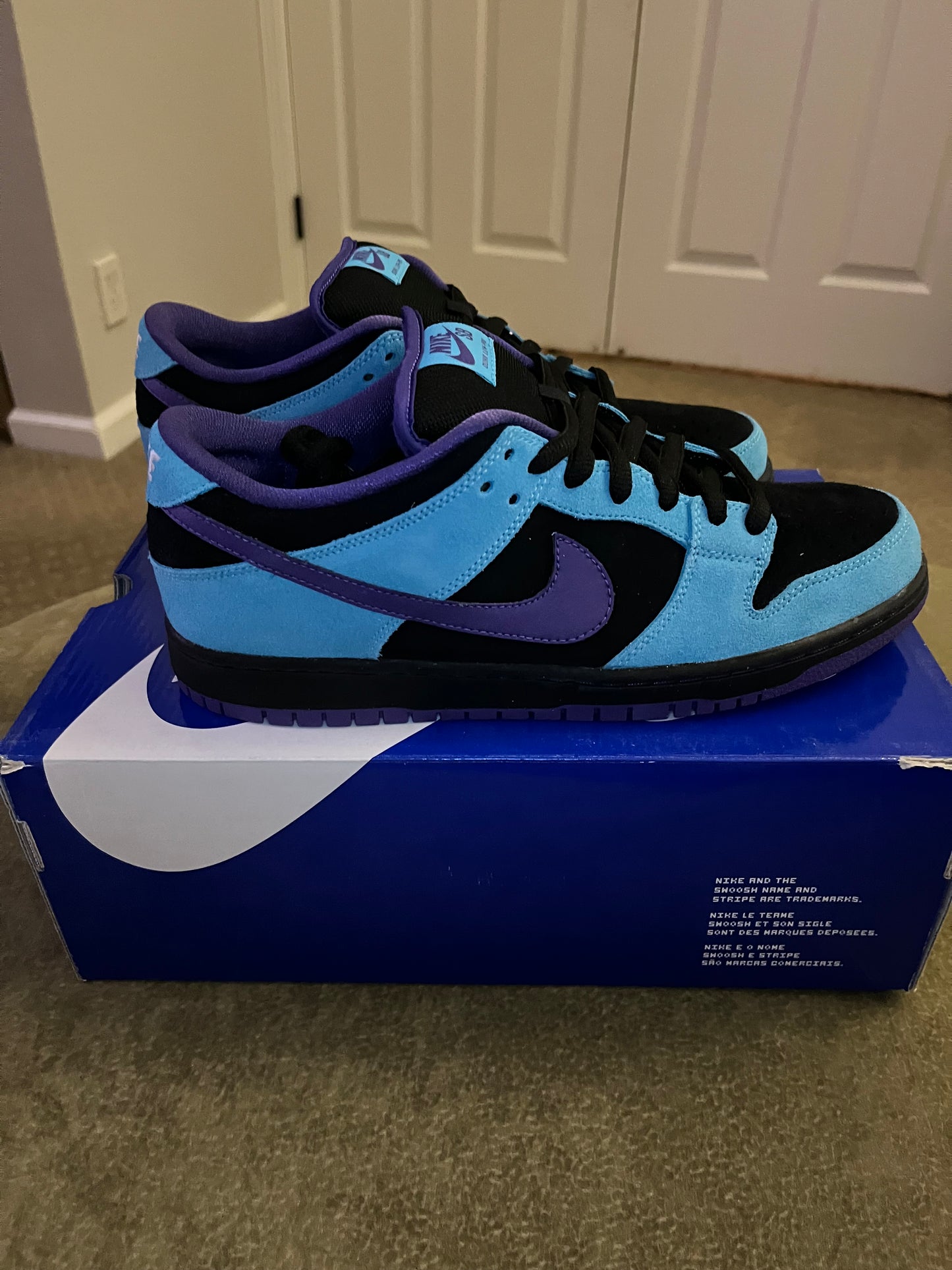 Nike Dunk SB Low - Skeletor