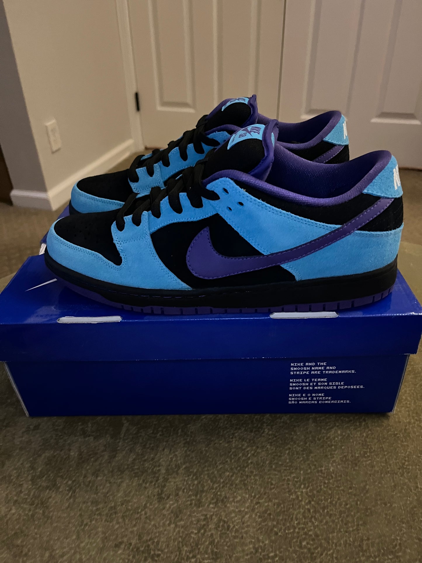 Nike Dunk SB Low - Skeletor